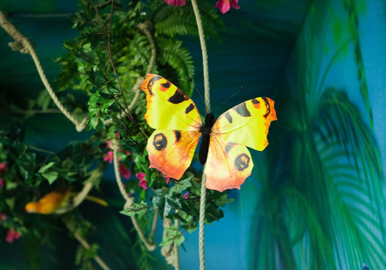 Jungle Room Butterfly